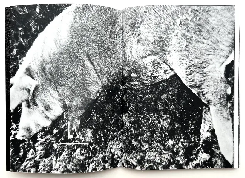 Jean-Marc Caimi & Valentina Piccinni – Umana Natura (Print B, edt 6/6, Brown cover)