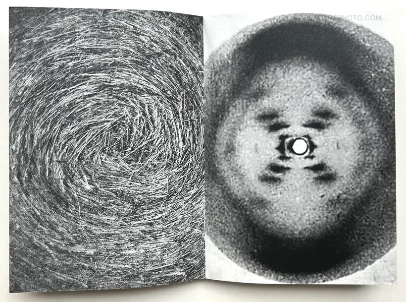 Jean-Marc Caimi & Valentina Piccinni – Umana Natura (Print B, edt 6/6, Brown cover)