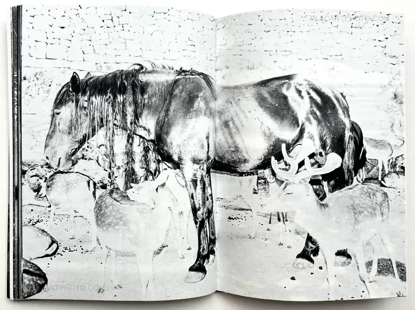 Jean-Marc Caimi & Valentina Piccinni – Umana Natura (Print B, edt 6/6, Brown cover)