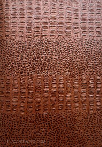 Jean-Marc Caimi & Valentina Piccinni,Umana Natura (Print B, edt 6/6, Brown cover)