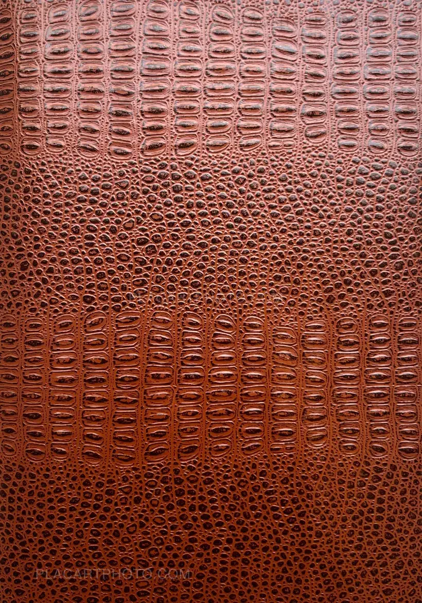 Jean-Marc Caimi & Valentina Piccinni – Umana Natura (Print B, edt 6/6, Brown cover)