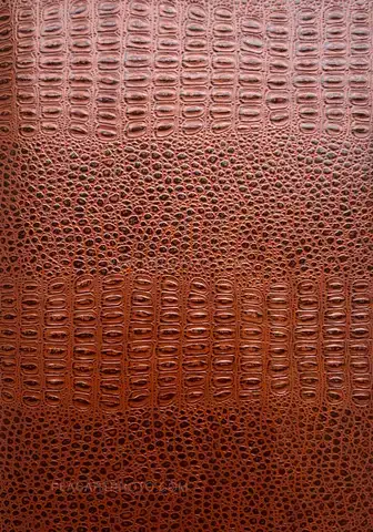 Jean-Marc Caimi & Valentina Piccinni – Umana Natura (Print B, edt 6/6, Brown cover)