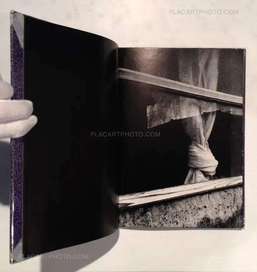 Yasushi Sugino – Shinshoku Fukei / Impressive Landscape