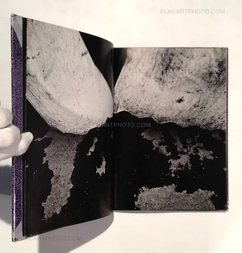 Yasushi Sugino – Shinshoku Fukei / Impressive Landscape