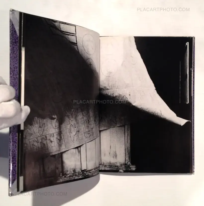 Yasushi Sugino – Shinshoku Fukei / Impressive Landscape