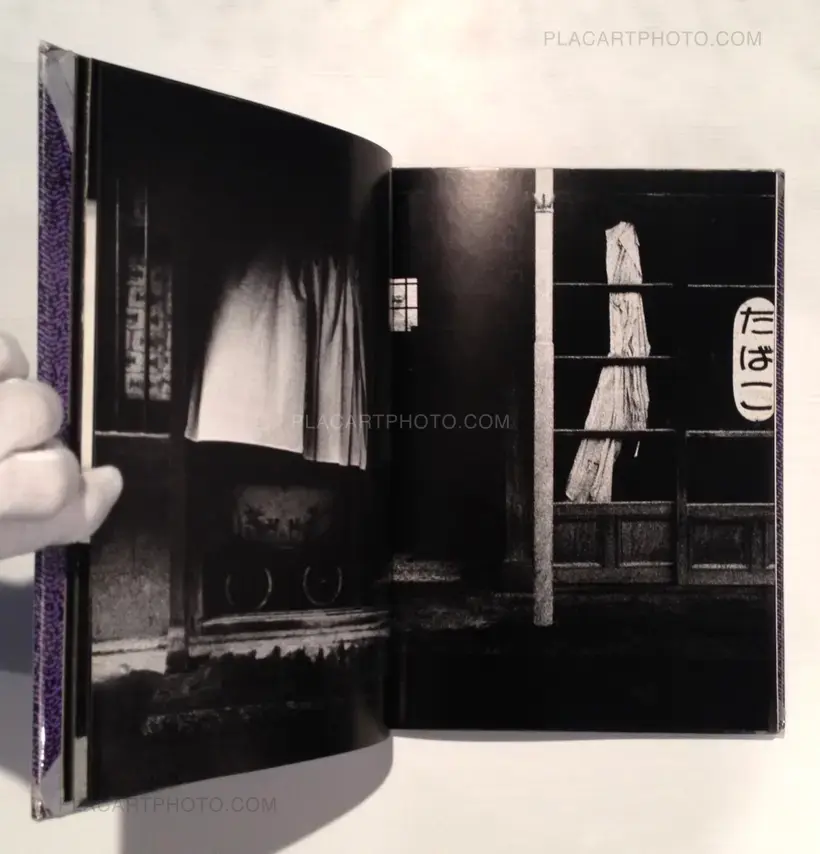 Yasushi Sugino – Shinshoku Fukei / Impressive Landscape