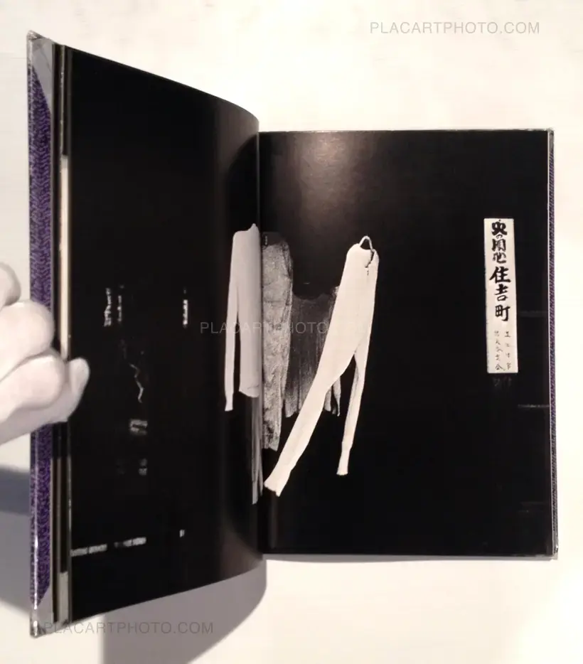 Yasushi Sugino – Shinshoku Fukei / Impressive Landscape