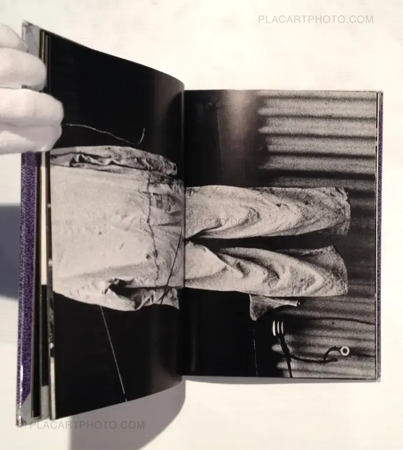 Yasushi Sugino – Shinshoku Fukei / Impressive Landscape