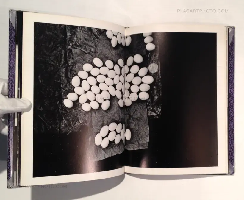 Yasushi Sugino – Shinshoku Fukei / Impressive Landscape