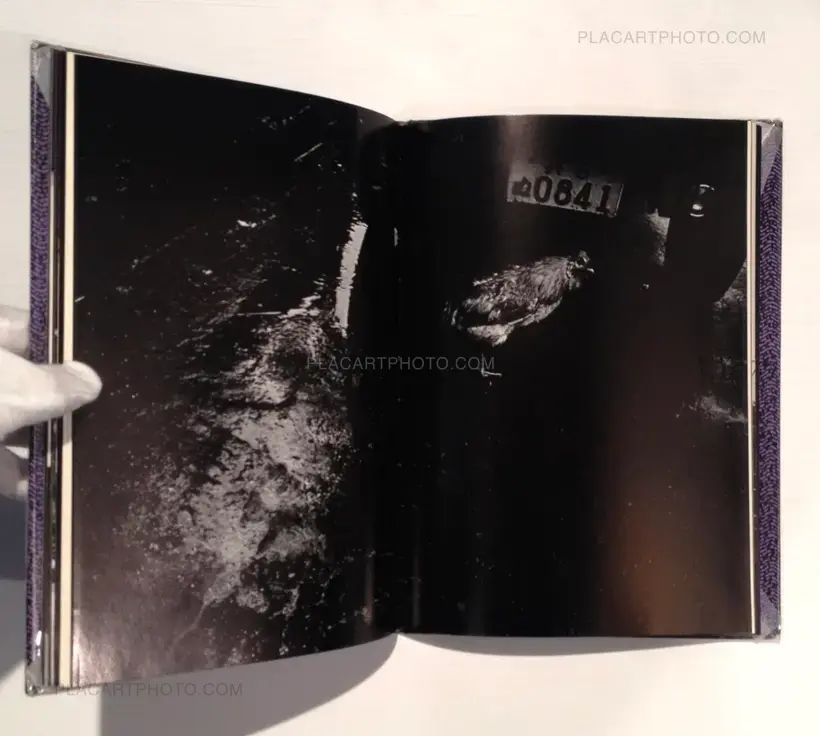 Yasushi Sugino – Shinshoku Fukei / Impressive Landscape