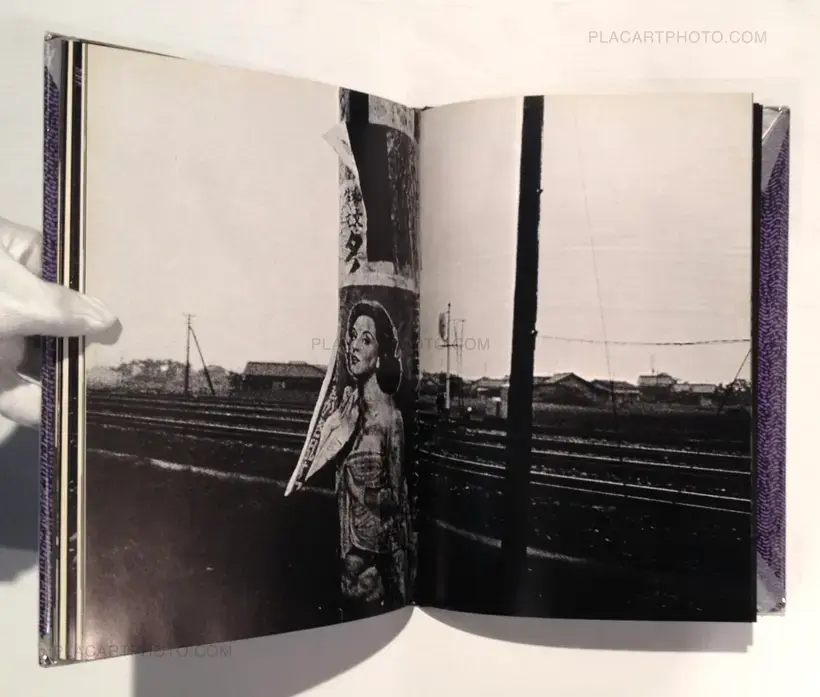 Yasushi Sugino – Shinshoku Fukei / Impressive Landscape