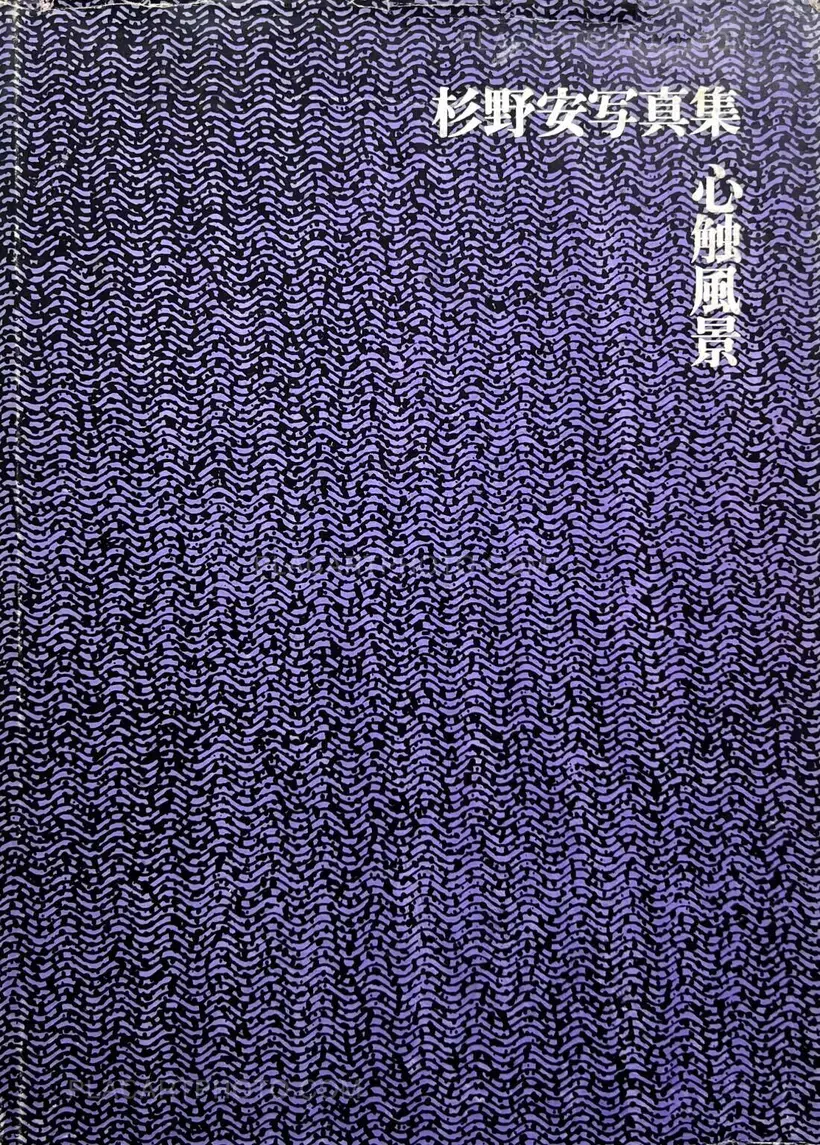 Yasushi Sugino – Shinshoku Fukei / Impressive Landscape