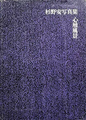 Yasushi Sugino – Shinshoku Fukei / Impressive Landscape