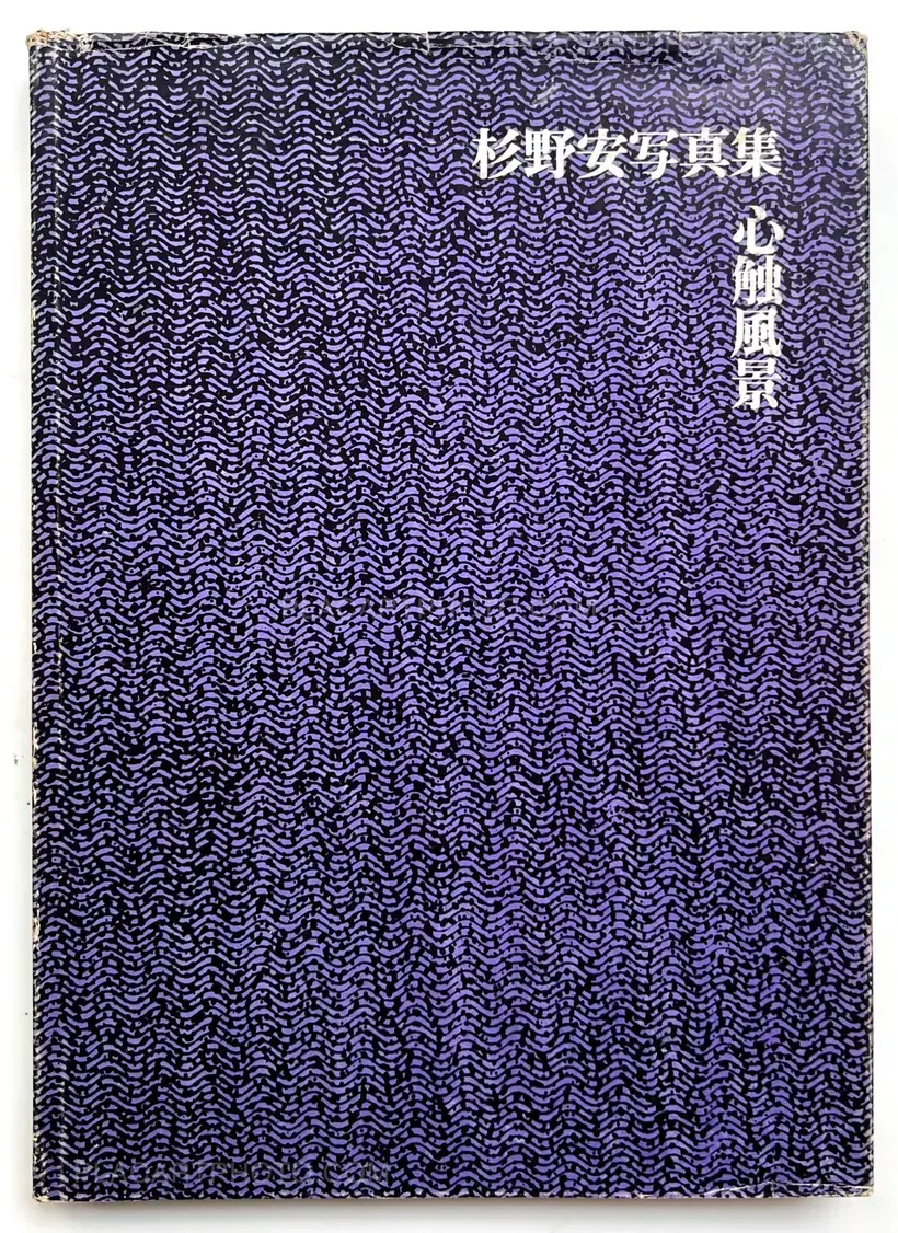 Yasushi Sugino – Shinshoku Fukei / Impressive Landscape