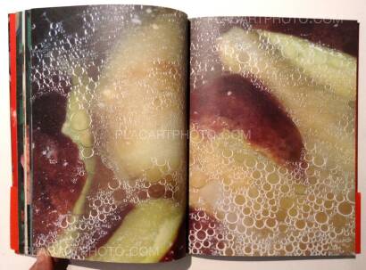 Nobuyoshi Araki,The Banquet Nobuyoshi Araki,The Banquet