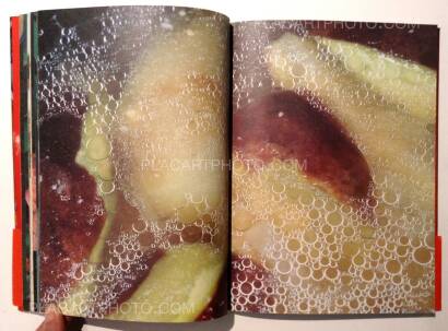 Nobuyoshi Araki,The Banquet