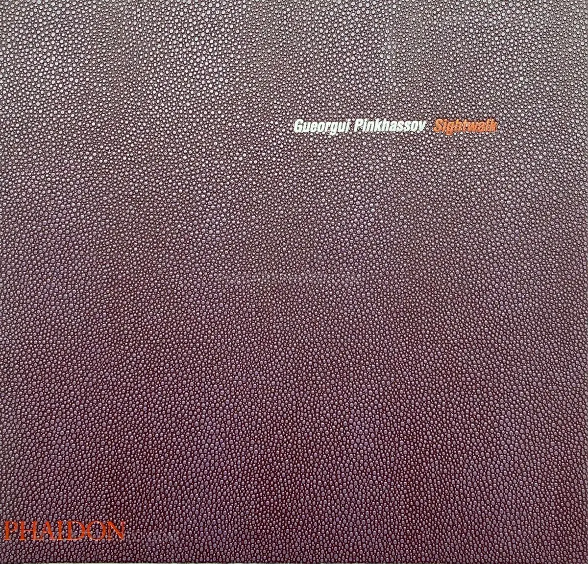 Gueorgui Pinkhassov, Sightwalk, Phaidon, 1998 | Le Plac'Art Photo