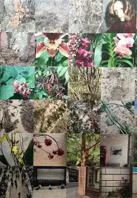 Hans Ulrich Obrist – STEPHEN SHORE INSTAGRAM (LTD EDT OF 200 copies)
