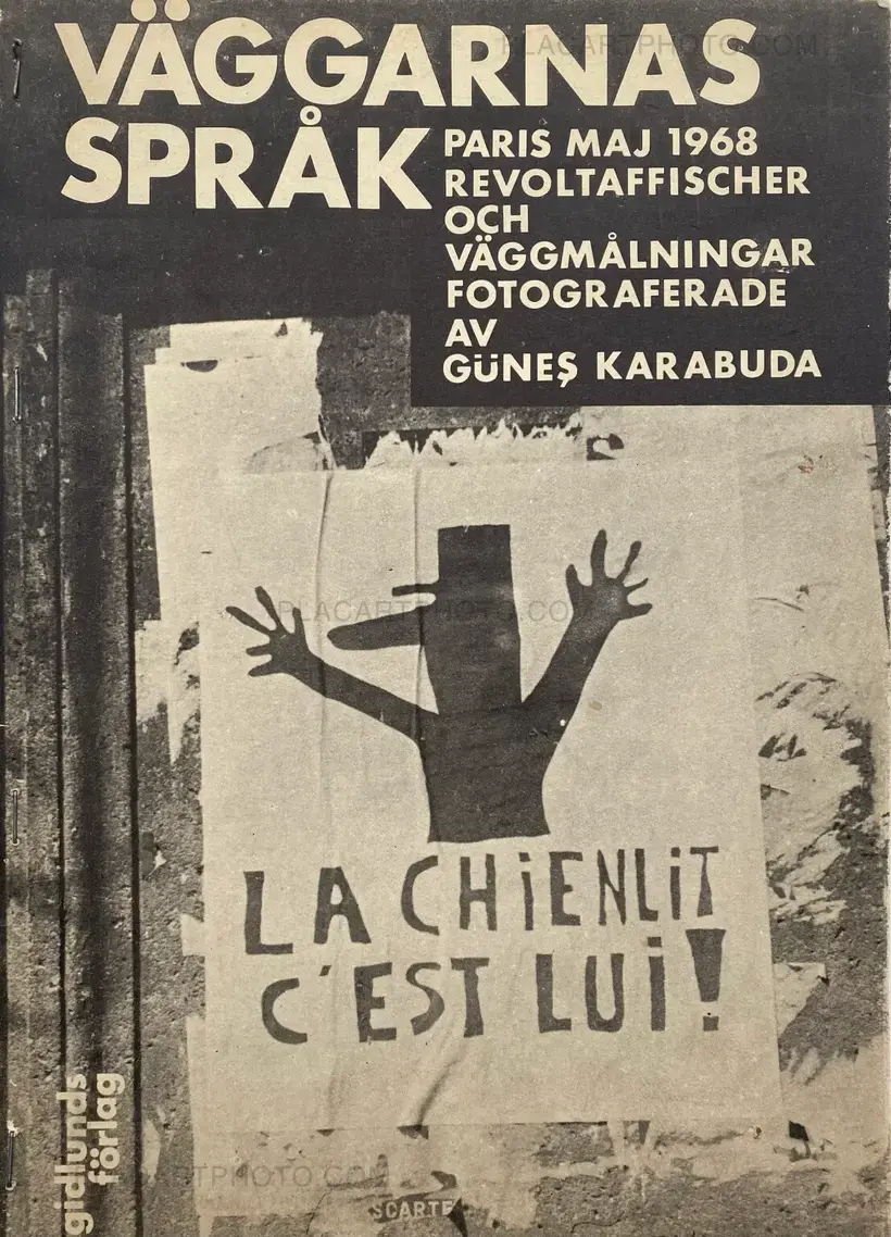 Gunes Karabuda – VAGGARNAS SPRAK