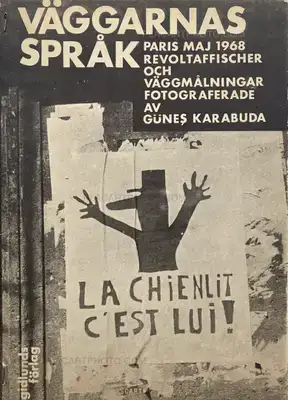 Gunes Karabuda – VAGGARNAS SPRAK
