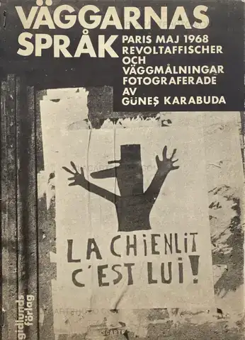 Gunes Karabuda – VAGGARNAS SPRAK