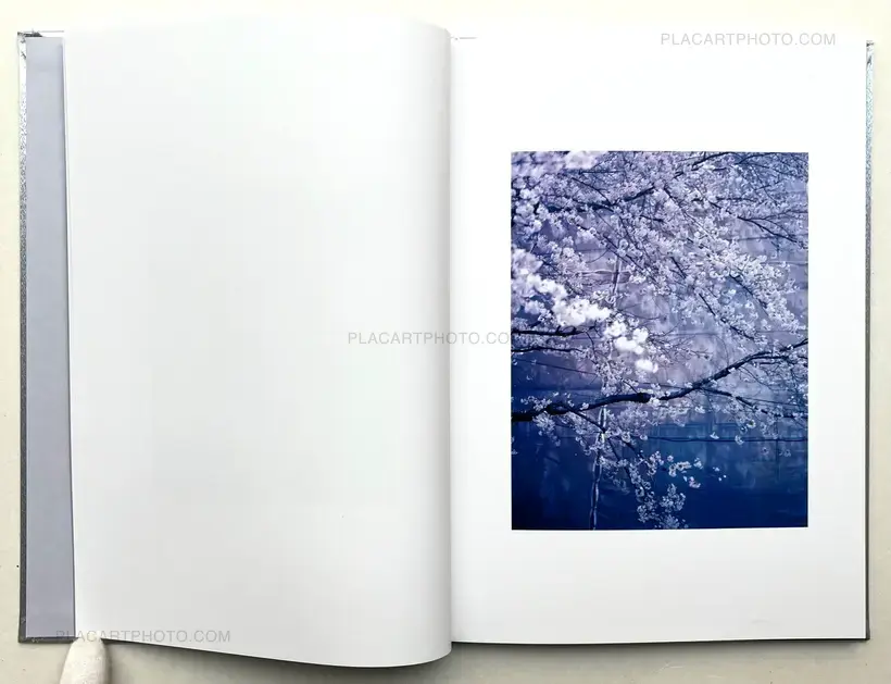 Kazuyoshi Usui – Showa 99 (Special edition C)