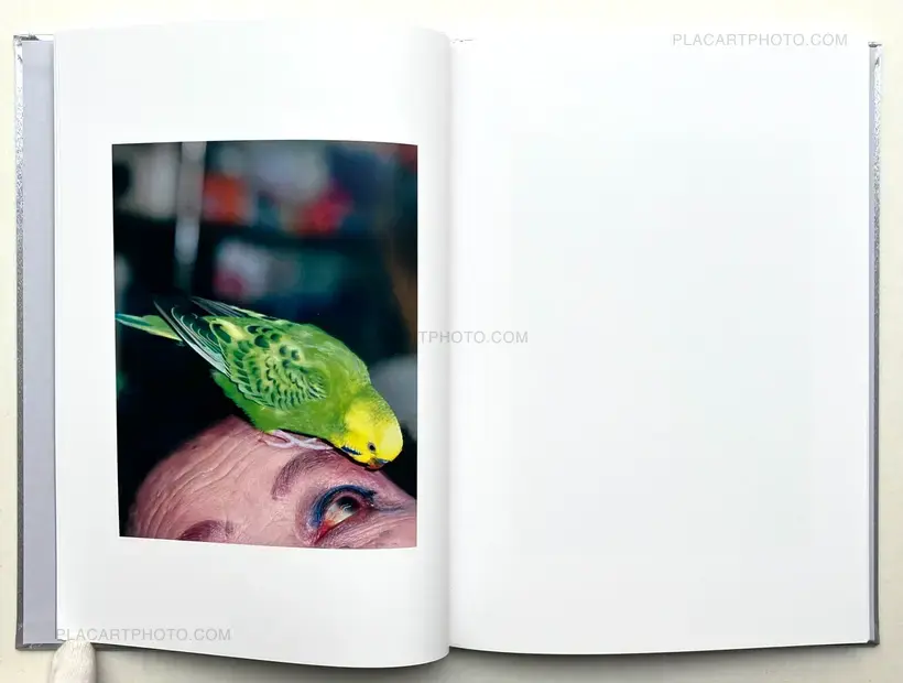 Kazuyoshi Usui – Showa 99 (Special edition C)