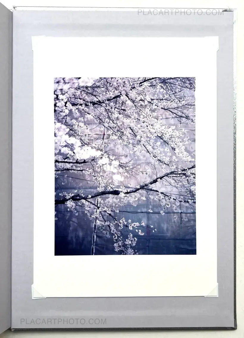 Kazuyoshi Usui – Showa 99 (Special edition A)