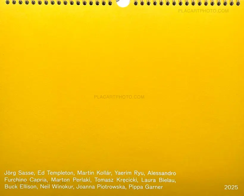 Various photographers – DAILY BANALITIES : Calendar 2025