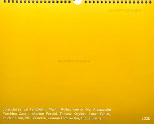 Various photographers – DAILY BANALITIES : Calendar 2025