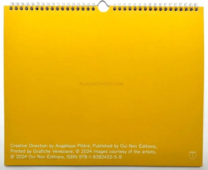 Various photographers – DAILY BANALITIES : Calendar 2025