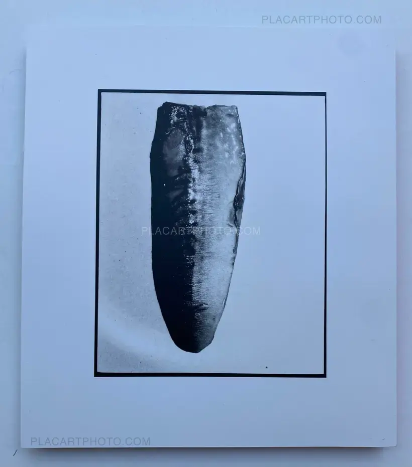 Chan Wai Kwong – HONG KONG SUMMER : DOUBLE SUICIDE (SIGNED)