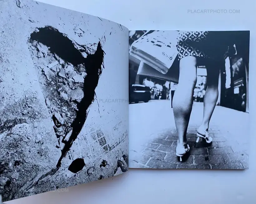 Chan Wai Kwong – HONG KONG SUMMER : DOUBLE SUICIDE (SIGNED)