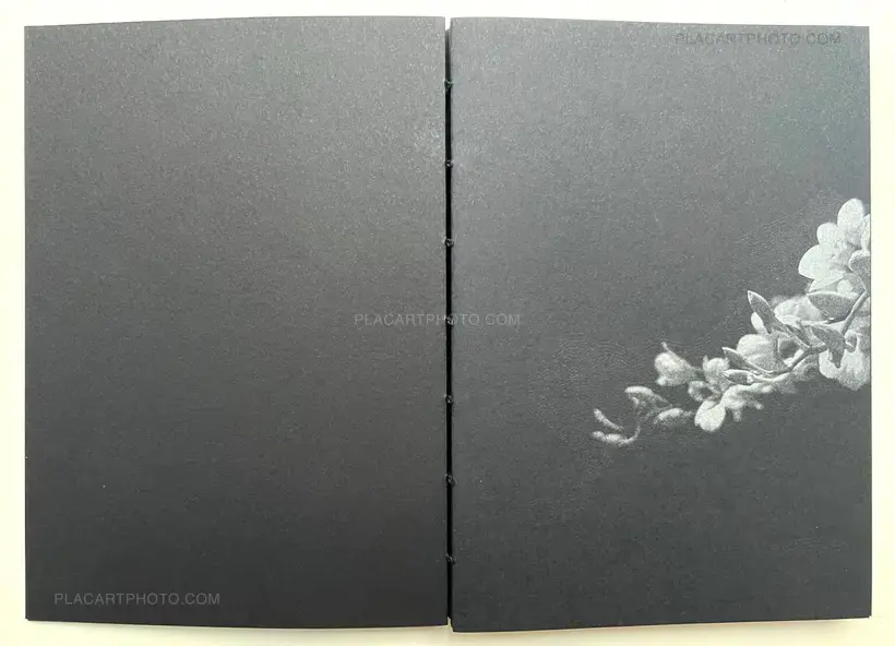 Melanie Schoeniger – TO PARADISE (Signed, limited edition of 50 copies with an original cyanotype!)