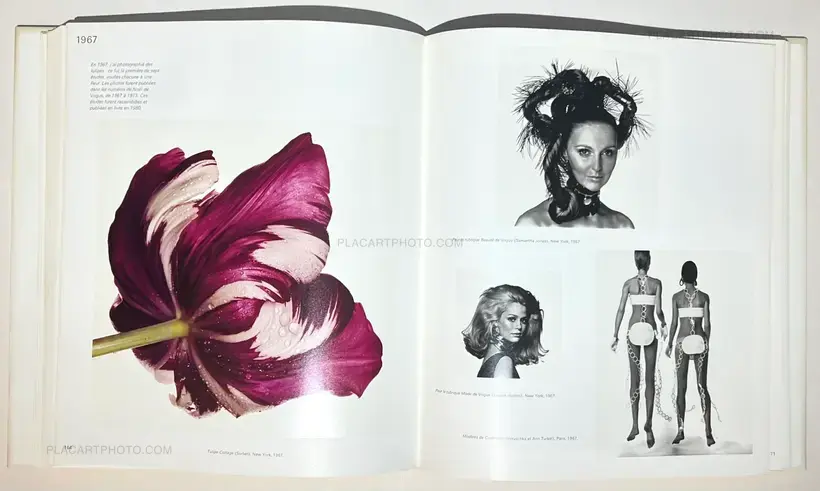 Irving Penn – EN PASSANT