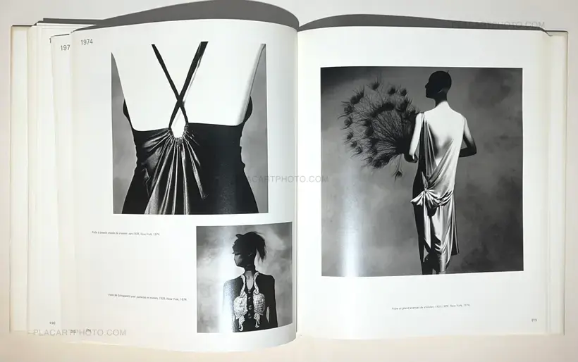 Irving Penn – EN PASSANT