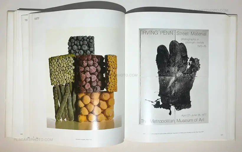 Irving Penn – EN PASSANT