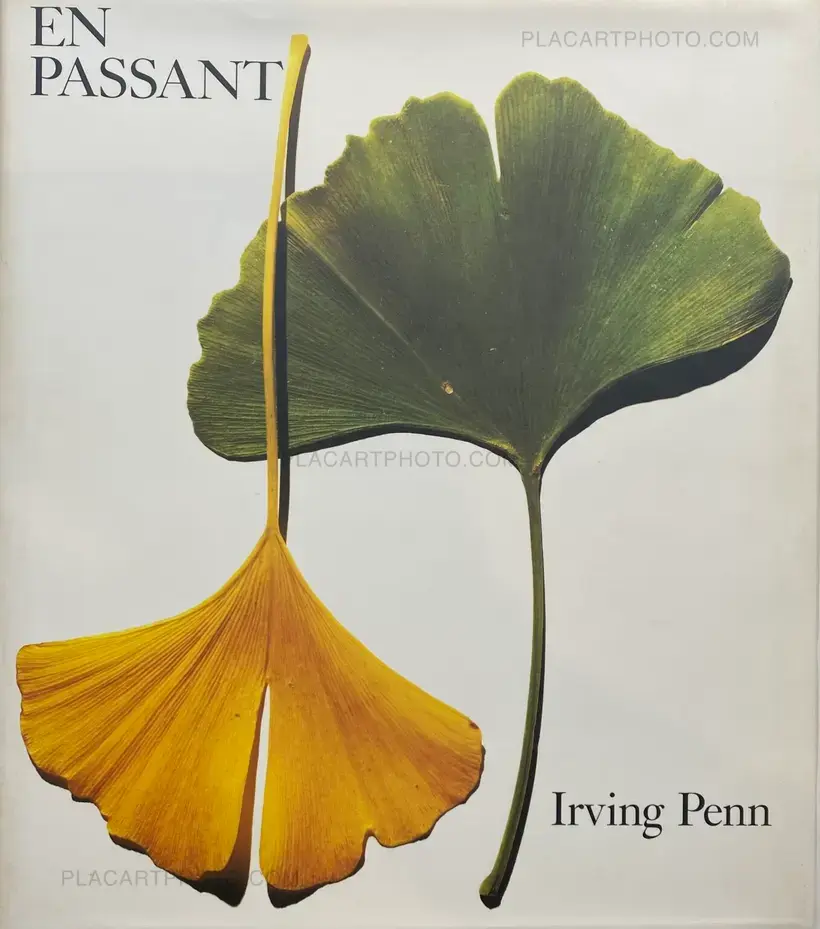 Irving Penn – EN PASSANT