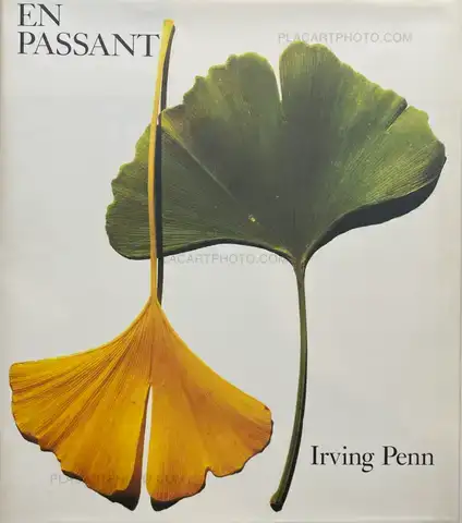 Irving Penn  – EN PASSANT