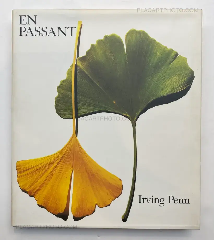 Irving Penn – EN PASSANT