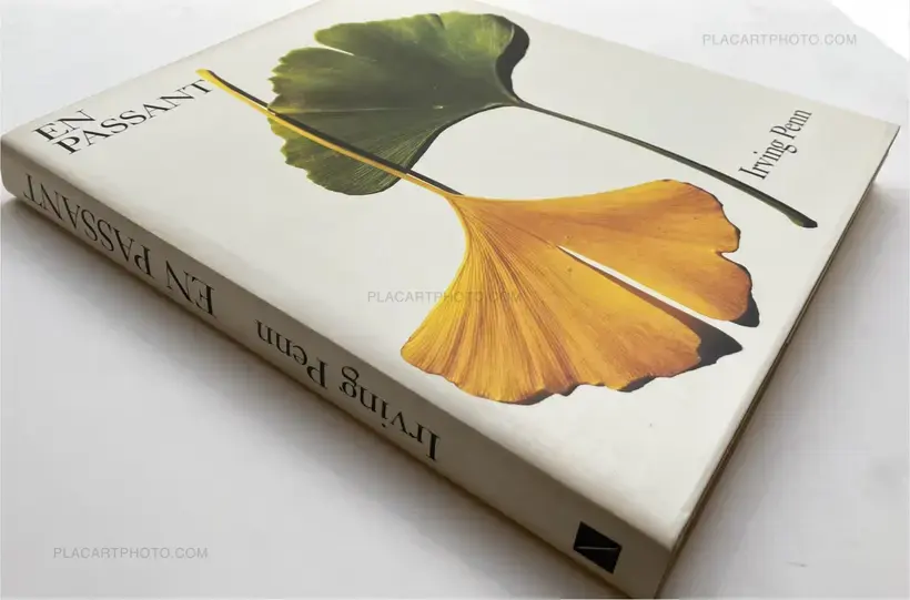 Irving Penn – EN PASSANT