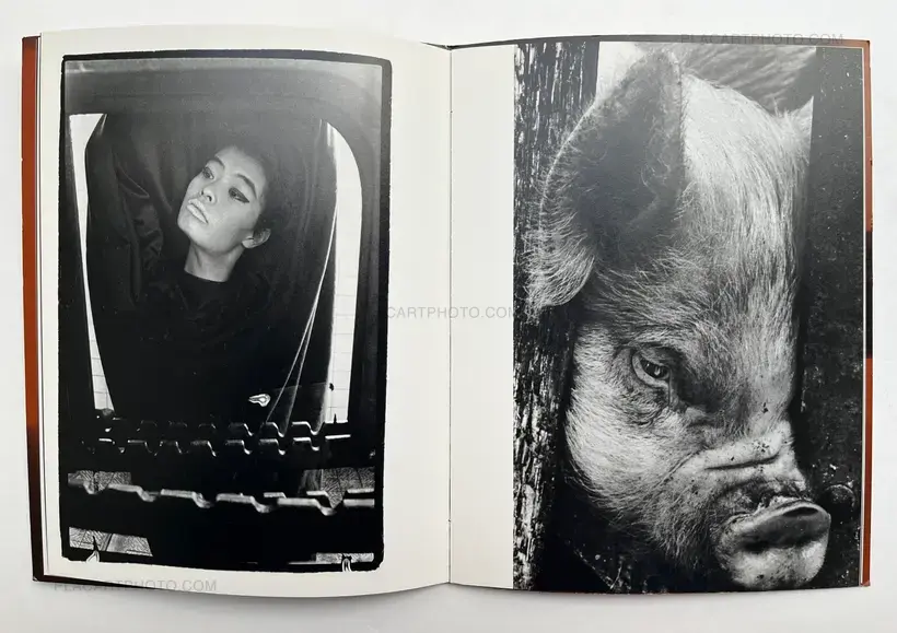 Masahisa Fukase – Slaughter