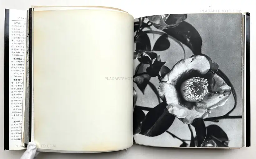 Eiko Yamazawa – Enkin / Far and Near