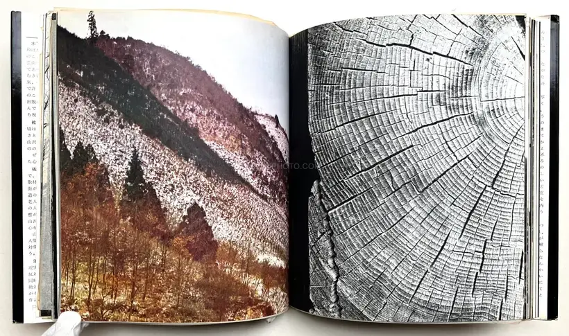 Eiko Yamazawa – Enkin / Far and Near