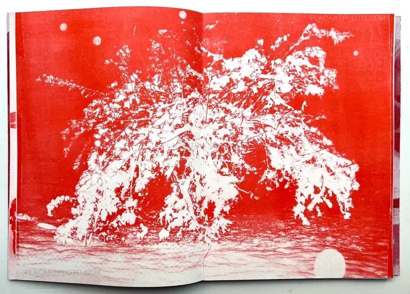 Theo Elias – RED (Red version) (Signed)