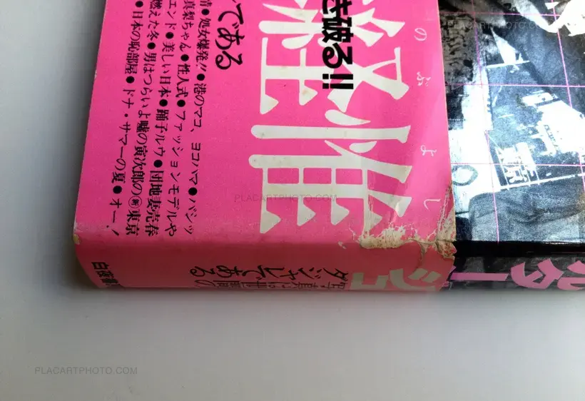 Nobuyoshi Araki – Pseudo-reportage (dedicated)