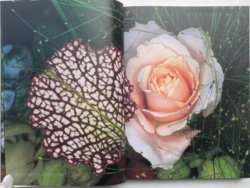 Nobuyoshi Araki – Kakyoku (Flower Rondo) (WITH OBI)