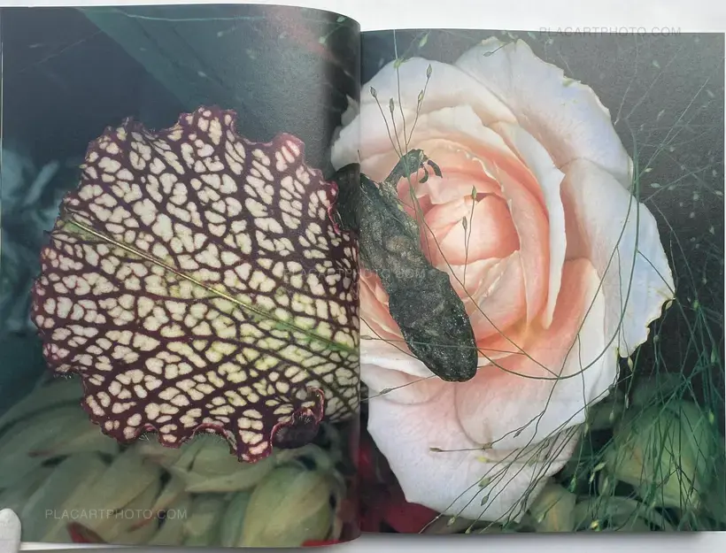 Nobuyoshi Araki – Kakyoku (Flower Rondo) (WITH OBI)