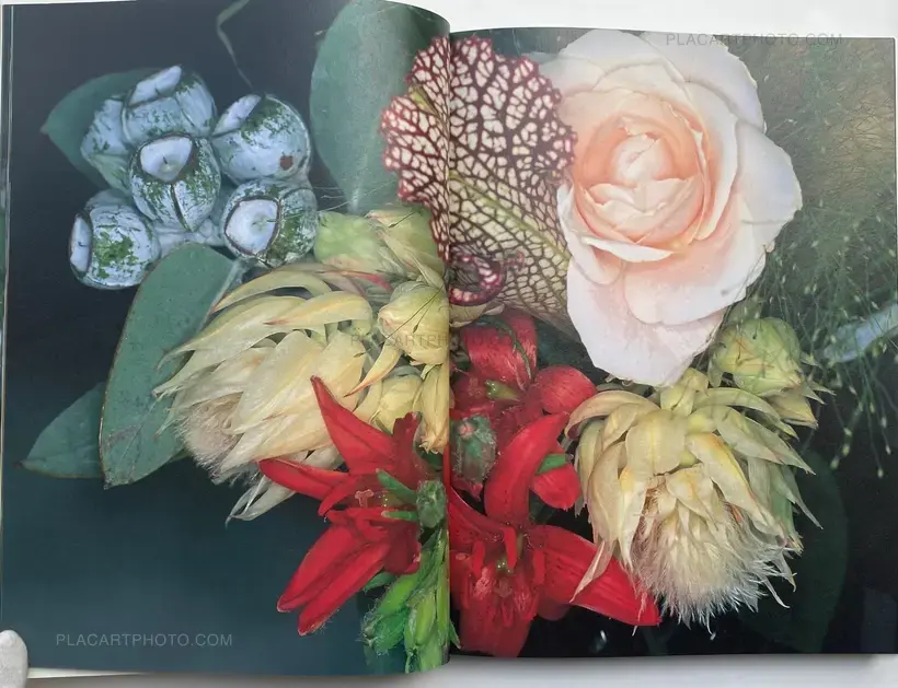 Nobuyoshi Araki – Kakyoku (Flower Rondo) (WITH OBI)
