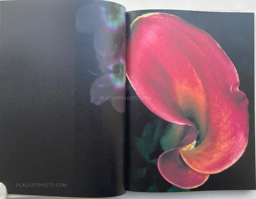 Nobuyoshi Araki – Kakyoku (Flower Rondo) (WITH OBI)
